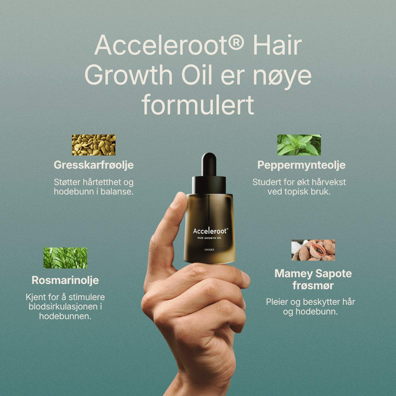 Acceleroot® Hair Growth Oil